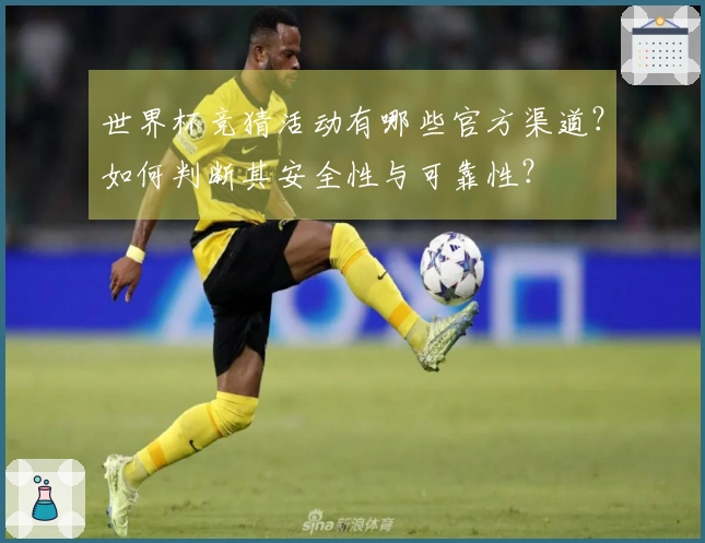 世界杯竞猜活动有哪些官方渠道?如何判断其安全性与可靠性?