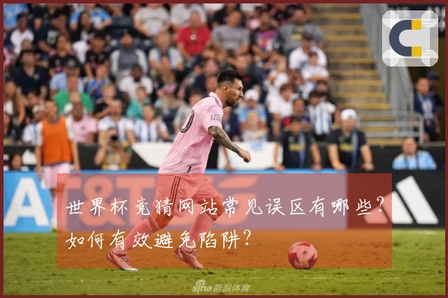 世界杯竞猜网站常见误区有哪些？如何有效避免陷阱？
