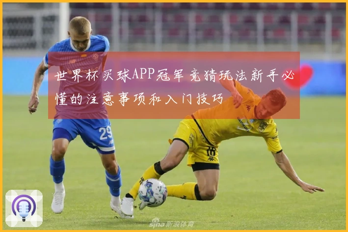 世界杯买球APP冠军竞猜玩法新手必懂的注意事项和入门技巧