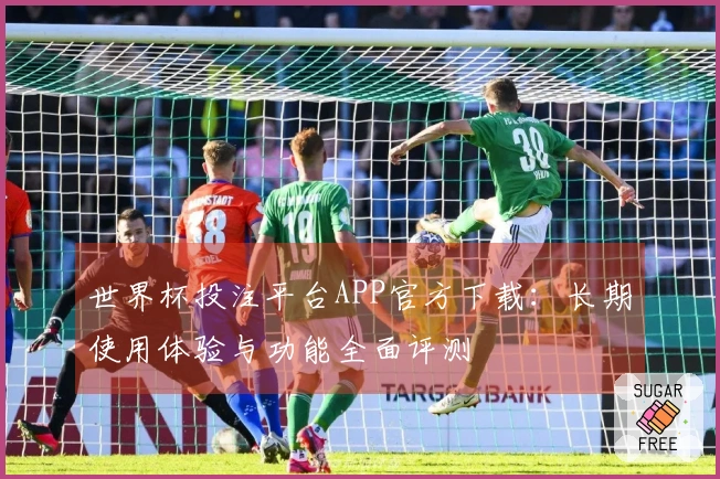 世界杯投注平台APP官方下载：长期使用体验与功能全面评测