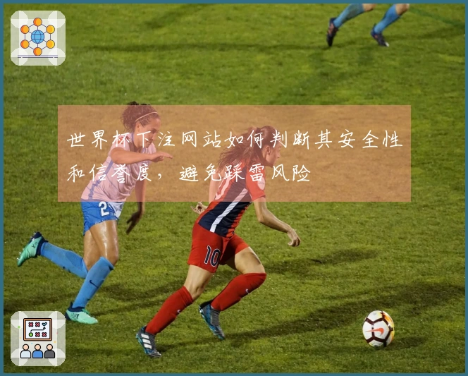 世界杯下注网站如何判断其安全性和信誉度，避免踩雷风险