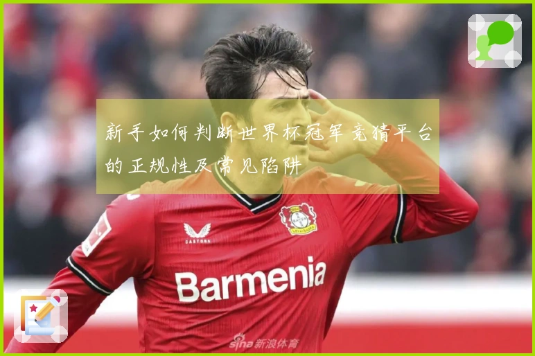 新手如何判断世界杯冠军竞猜平台的正规性及常见陷阱