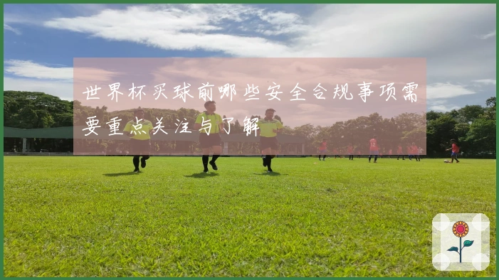 世界杯买球前哪些安全合规事项需要重点关注与了解