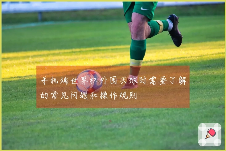 手机端世界杯外围买球时需要了解的常见问题和操作规则