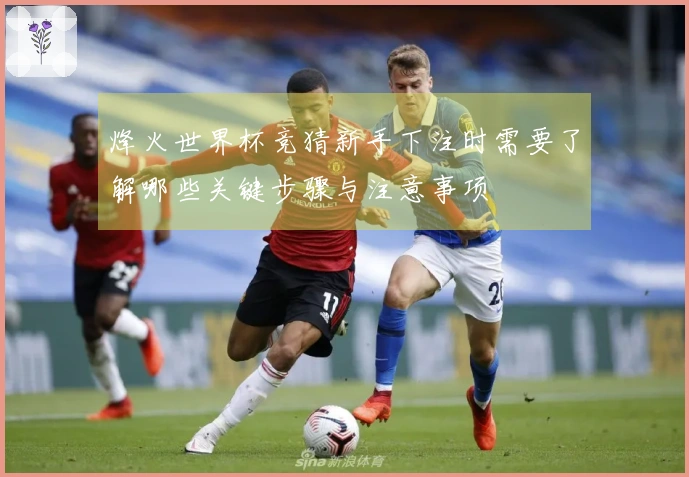 烽火世界杯竞猜新手下注时需要了解哪些关键步骤与注意事项