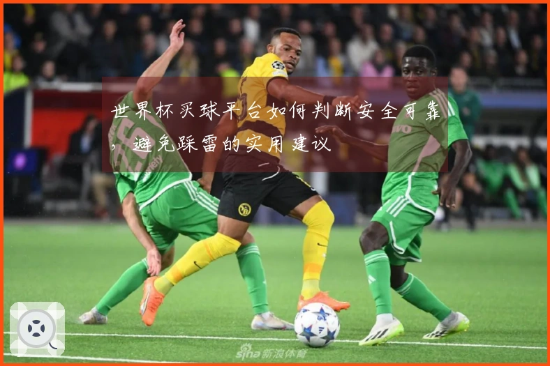 世界杯买球平台如何判断安全可靠，避免踩雷的实用建议